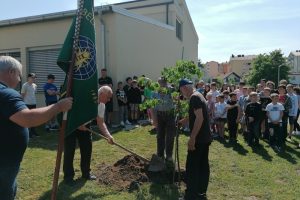 Sajenje lipe - ČD Postojna - OS Anton Globočnik (3)