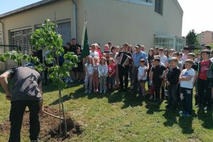 Sajenje lipe - ČD Postojna - OS Anton Globočnik (4)